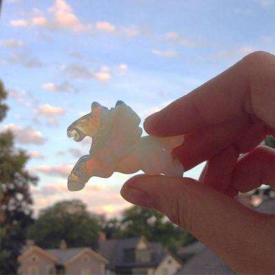 乐宝体育官网登录入口手机app下载