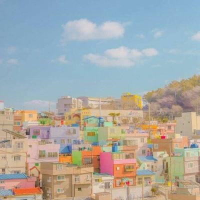 乐宝体育官网登录入口手机app下载